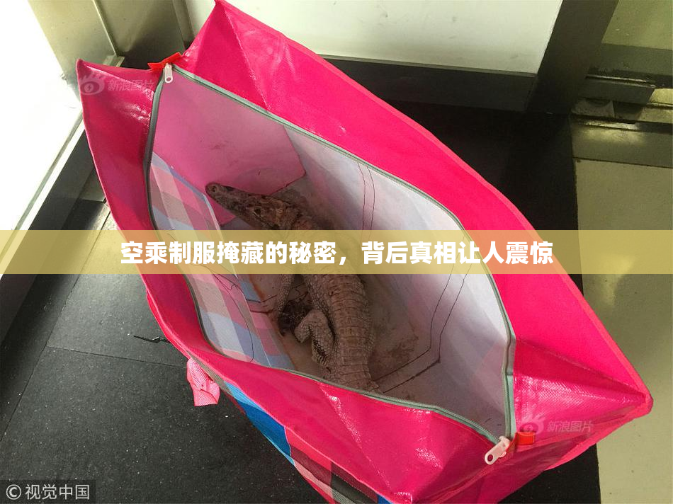 空乘制服掩藏的秘密，背后真相让人震惊