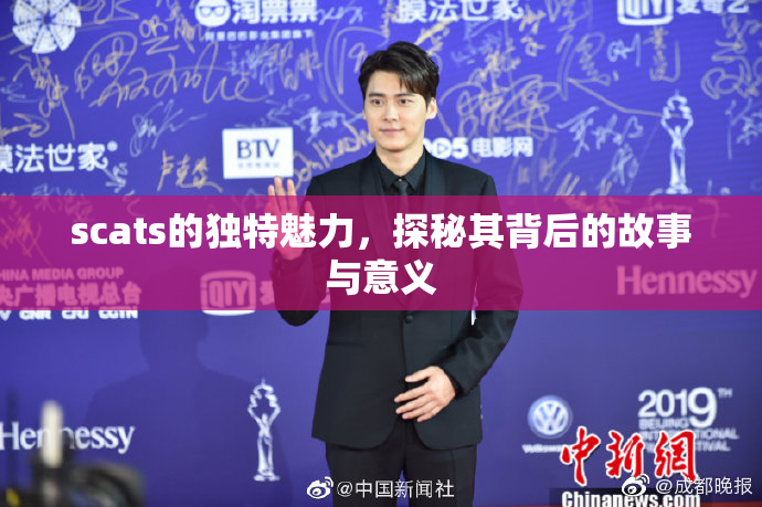 scats的独特魅力，探秘其背后的故事与意义