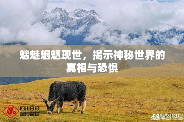 魑魅魍魉现世，揭示神秘世界的真相与恐惧