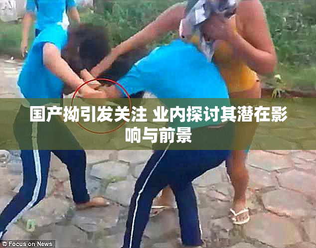 国产拗引发关注 业内探讨其潜在影响与前景