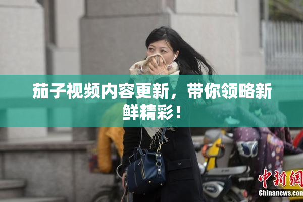 茄子视频内容更新，带你领略新鲜精彩！