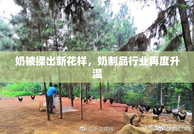 奶被揉出新花样，奶制品行业再度升温