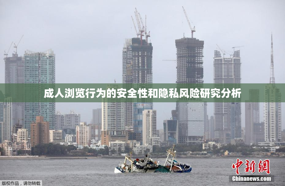 成人浏览行为的安全性和隐私风险研究分析