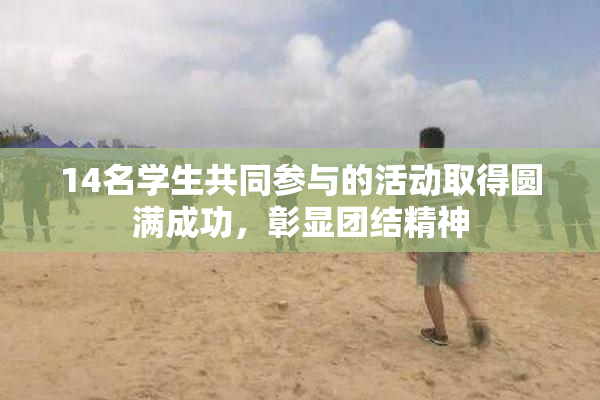 14名学生共同参与的活动取得圆满成功，彰显团结精神