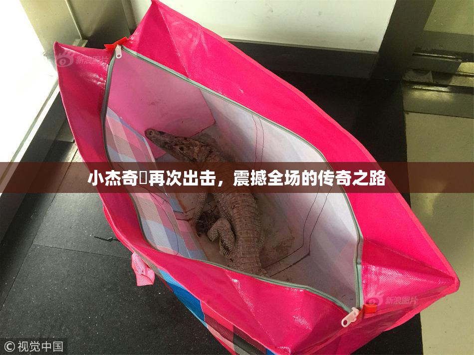 小杰奇犽再次出击，震撼全场的传奇之路