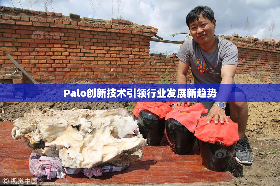 Palo创新技术引领行业发展新趋势