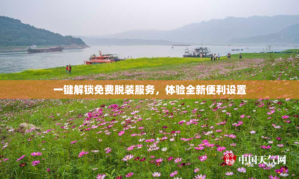 一键解锁免费脱装服务，体验全新便利设置