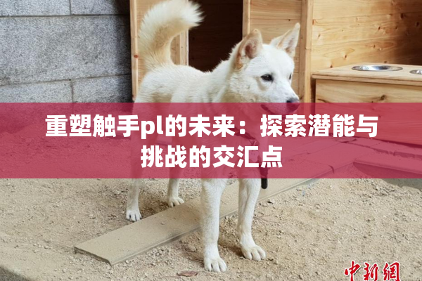 重塑触手pl的未来：探索潜能与挑战的交汇点