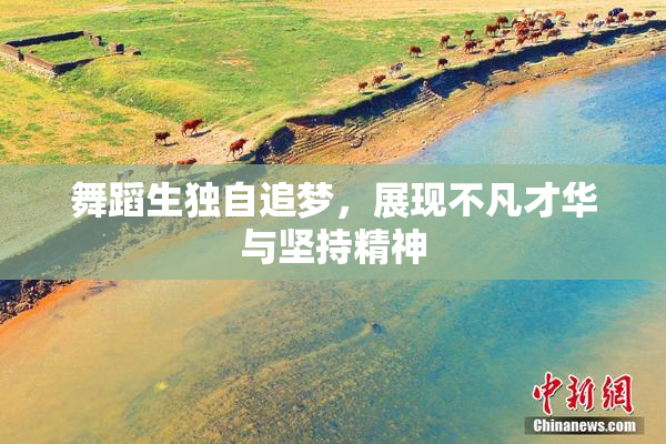 舞蹈生独自追梦，展现不凡才华与坚持精神