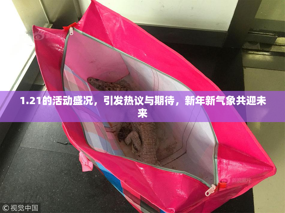 1.21的活动盛况，引发热议与期待，新年新气象共迎未来