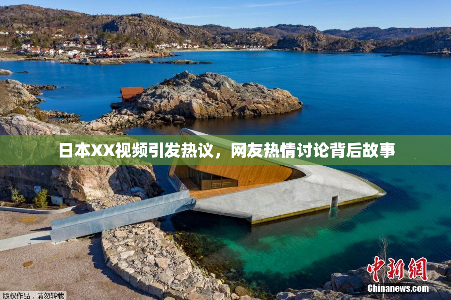 日本XX视频引发热议，网友热情讨论背后故事