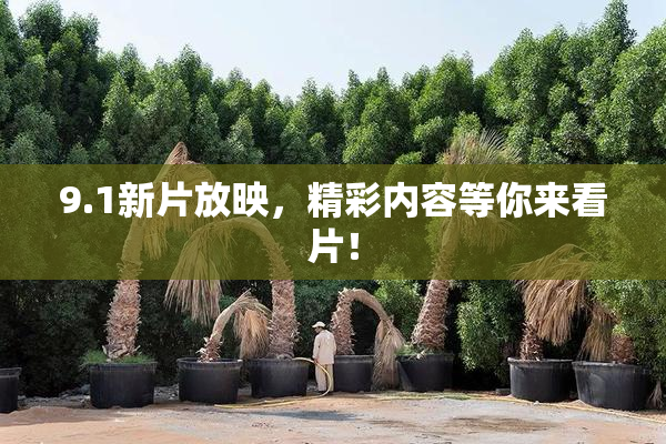 9.1新片放映，精彩内容等你来看片！