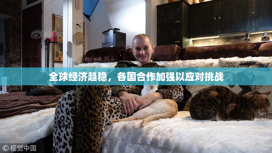 全球经济趋稳，各国合作加强以应对挑战