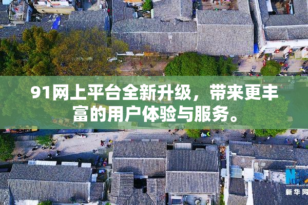 91网上平台全新升级，带来更丰富的用户体验与服务。