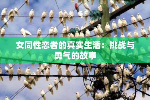 女同性恋者的真实生活：挑战与勇气的故事