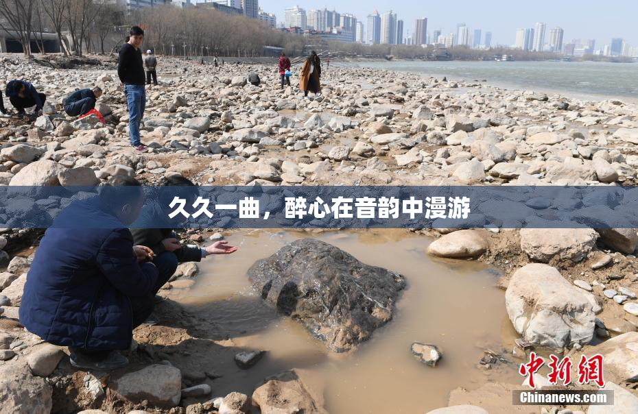 久久一曲，醉心在音韵中漫游