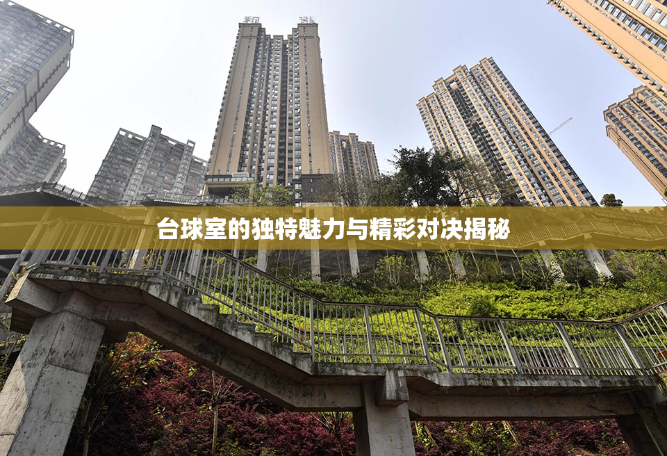 台球室的独特魅力与精彩对决揭秘