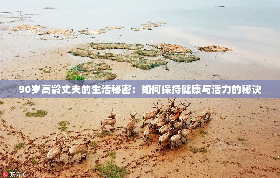 90岁高龄丈夫的生活秘密：如何保持健康与活力的秘诀