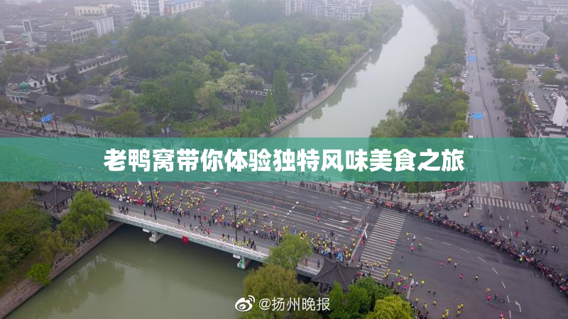 老鸭窝带你体验独特风味美食之旅