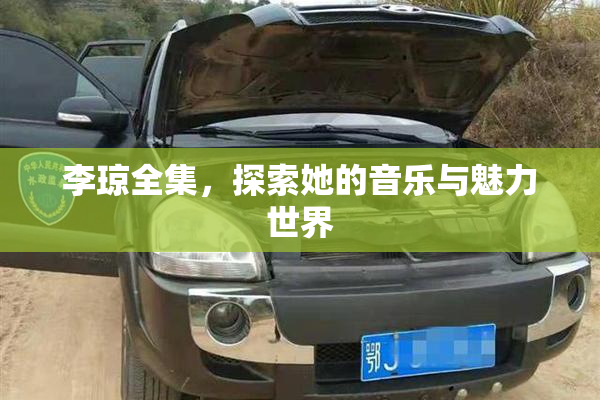 李琼全集，探索她的音乐与魅力世界