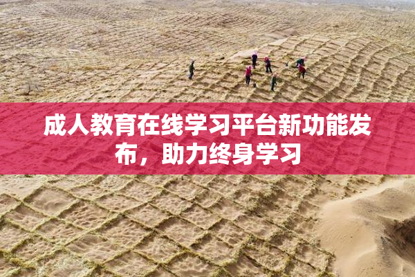 成人教育在线学习平台新功能发布，助力终身学习