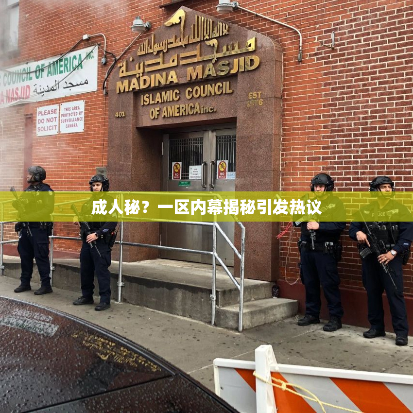 成人秘？一区内幕揭秘引发热议