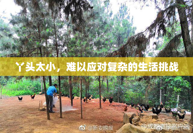 丫头太小，难以应对复杂的生活挑战