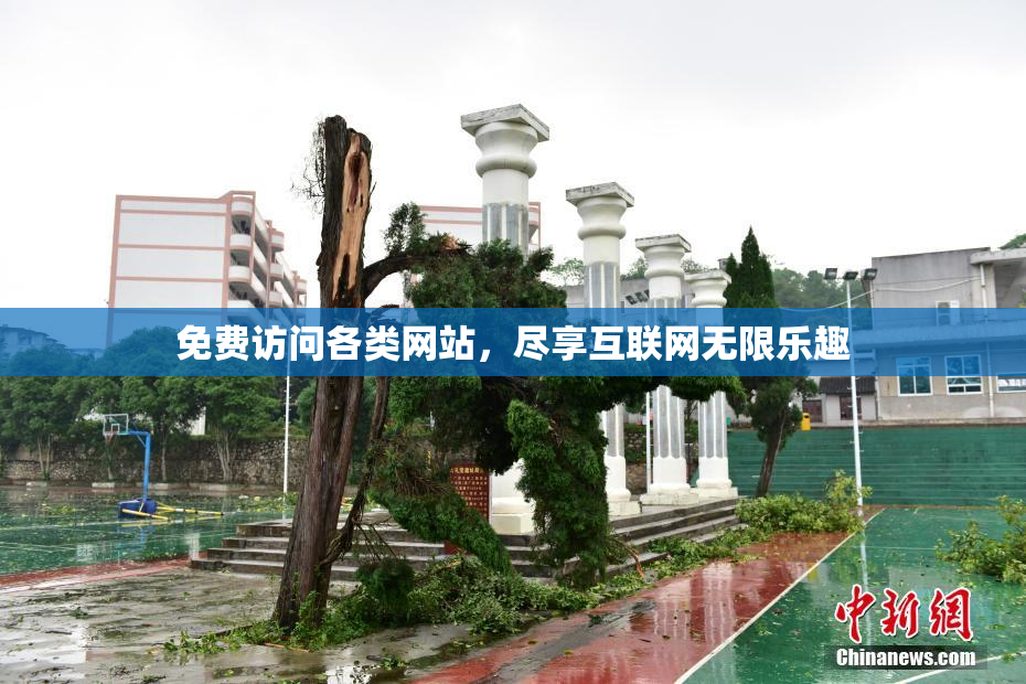 免费访问各类网站，尽享互联网无限乐趣