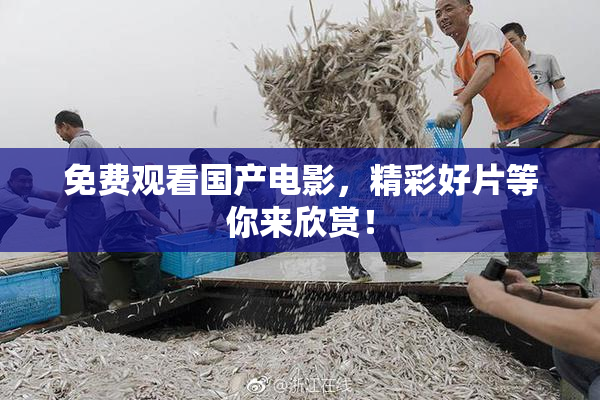 免费观看国产电影，精彩好片等你来欣赏！