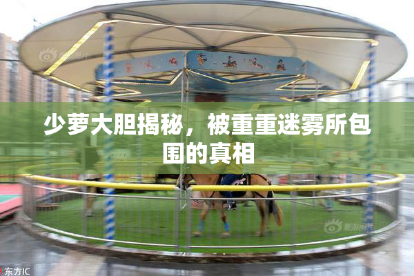 少萝大胆揭秘，被重重迷雾所包围的真相