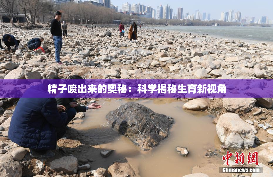 精子喷出来的奥秘：科学揭秘生育新视角
