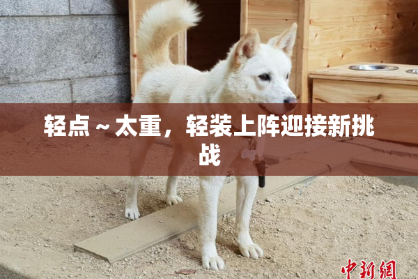 轻点～太重，轻装上阵迎接新挑战