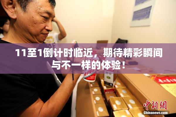 11至1倒计时临近，期待精彩瞬间与不一样的体验！