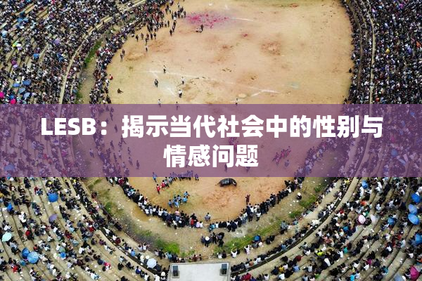 LESB：揭示当代社会中的性别与情感问题
