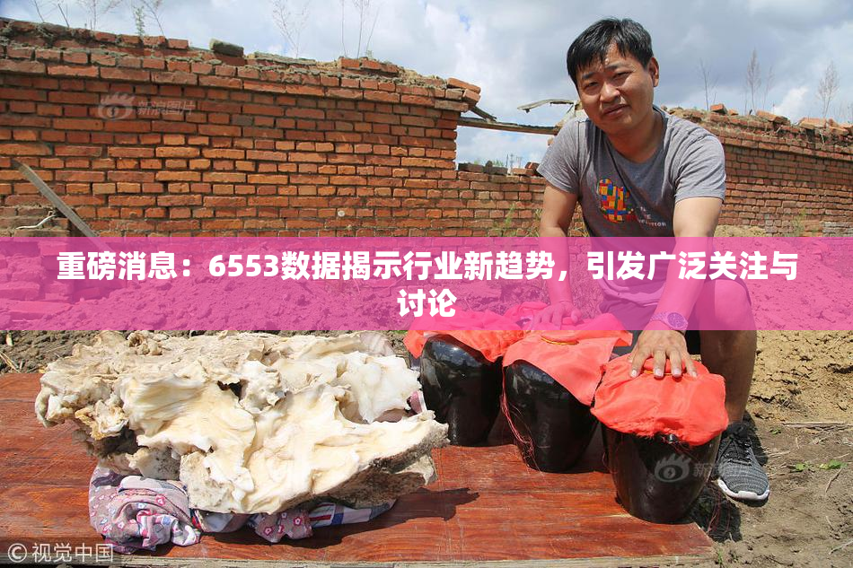 重磅消息：6553数据揭示行业新趋势，引发广泛关注与讨论