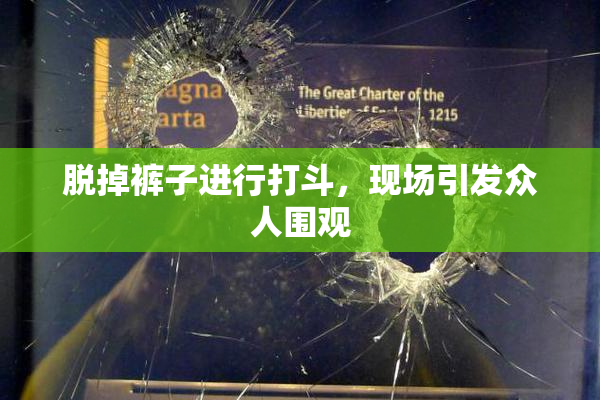 脱掉裤子进行打斗，现场引发众人围观