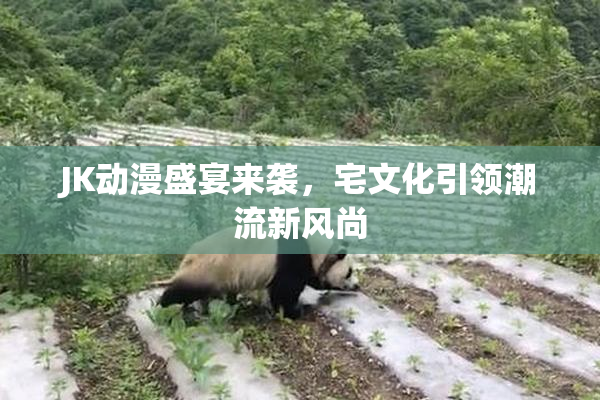 JK动漫盛宴来袭，宅文化引领潮流新风尚