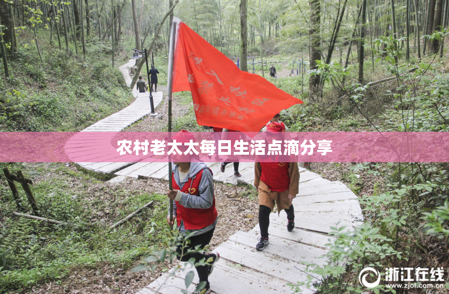 农村老太太每日生活点滴分享