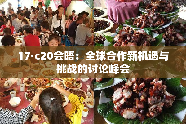 17·c20会晤：全球合作新机遇与挑战的讨论峰会