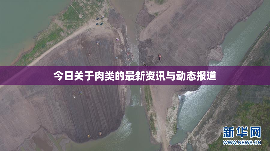今日关于肉类的最新资讯与动态报道