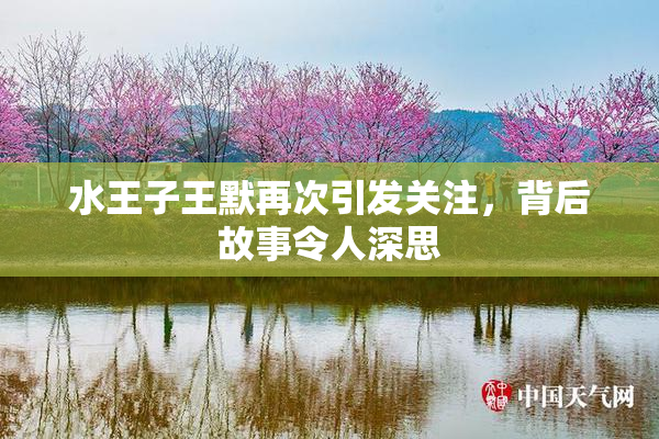 水王子王默再次引发关注，背后故事令人深思