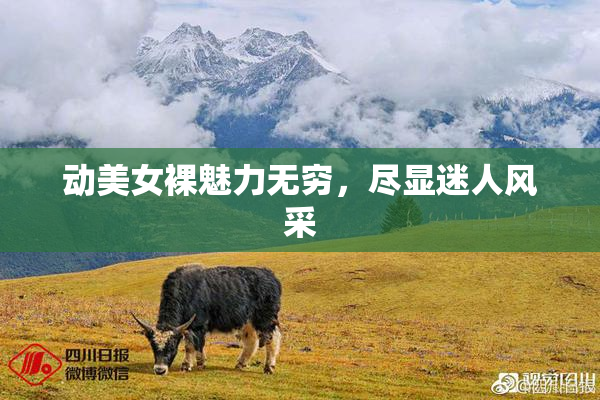 动美女裸魅力无穷，尽显迷人风采
