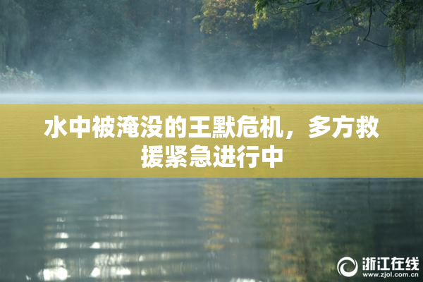 水中被淹没的王默危机，多方救援紧急进行中