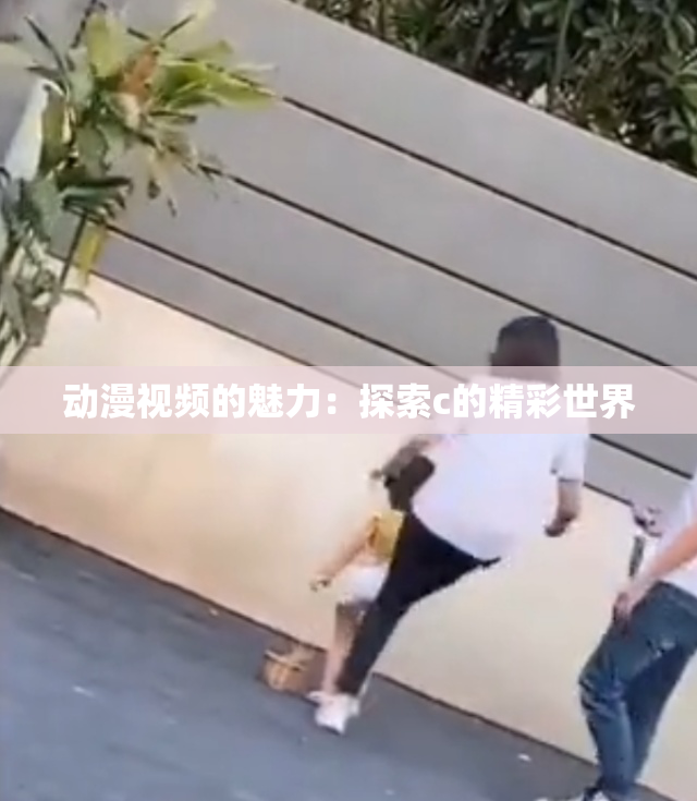 动漫视频的魅力：探索c的精彩世界
