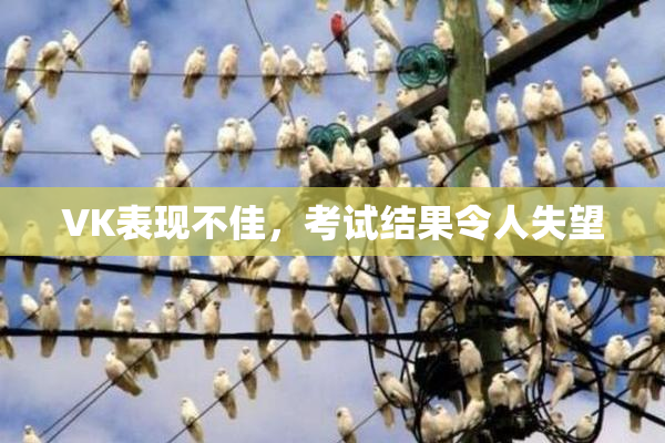 VK表现不佳，考试结果令人失望