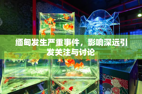 缅甸发生严重事件，影响深远引发关注与讨论
