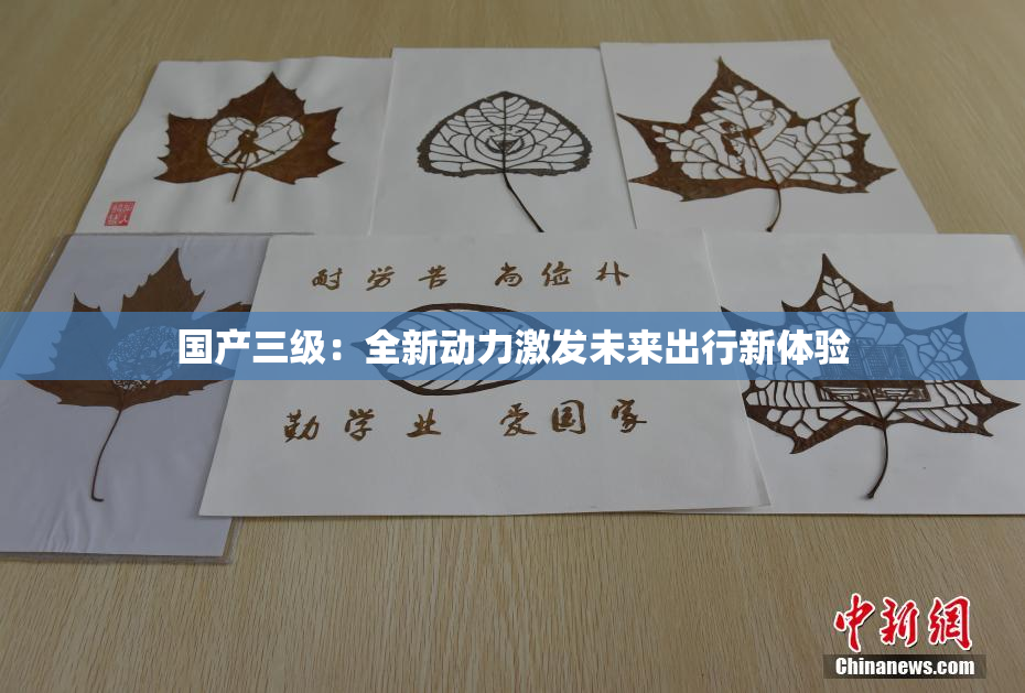 国产三级：全新动力激发未来出行新体验