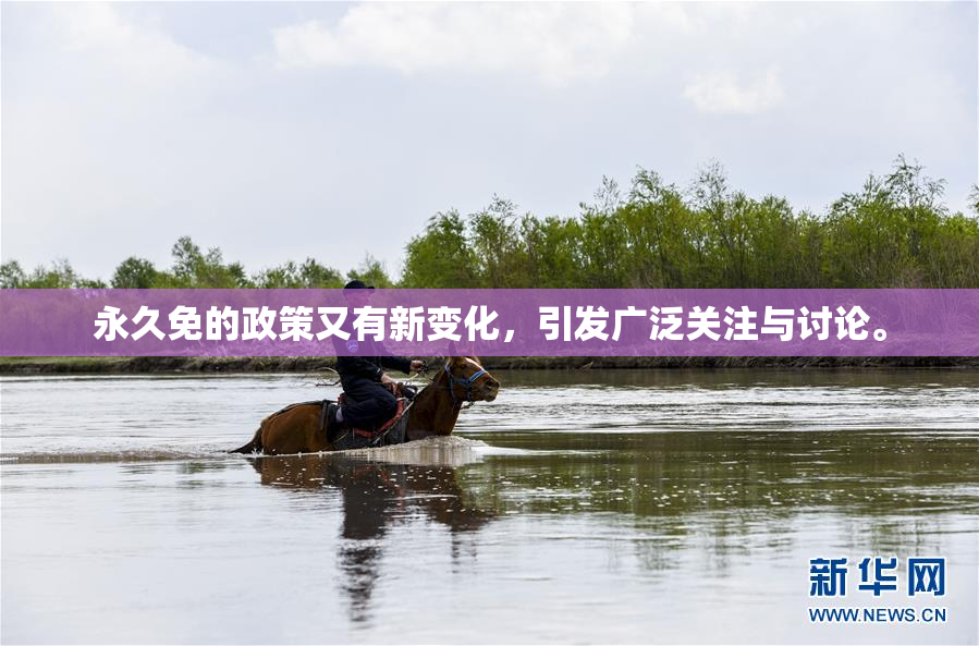 永久免的政策又有新变化，引发广泛关注与讨论。
