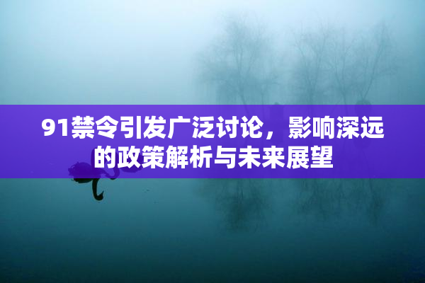 91禁令引发广泛讨论，影响深远的政策解析与未来展望