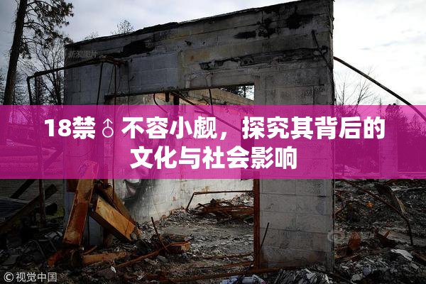 18禁♂不容小觑，探究其背后的文化与社会影响